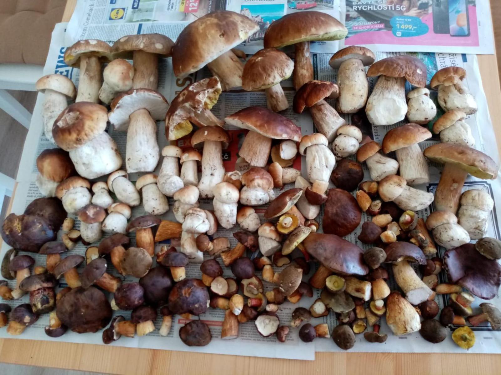 Apartman Plesivec All4Fun U Sjezdovky Abertamy Esterno foto